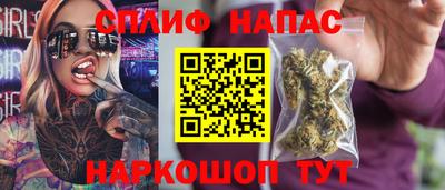 гидра Беслан